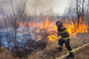 Incendiu de proporţii la Porumbacu de Sus: se întinde pe mai bine de 100 de hectare de teren / foto