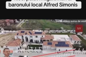 PALATUL PUTERII DIN MOȘNIȚA NOUĂ. Reşedinţa pesedistului Alfred Simonis ridică semne serioase de întrebare! DNA, ANAF si ANI au de lucru!