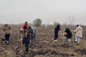 Acţiune de plantare la Dudeştii Noi. Voluntarii sunt aşteptaţi să înverzească zona weekendul viitor