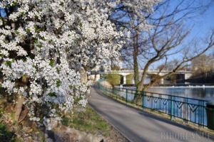 Vreme oscilantă în ţară: urmează o nouă răcire a vremii şi precipitaţii