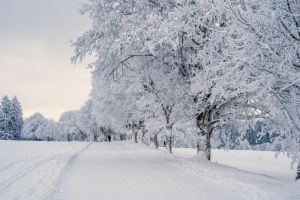 Temperaturile scad drastic in Europa. Un val de aer arctic matura continentul la finalul lunii martie