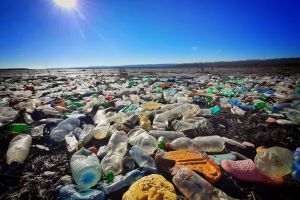 Garda Naţională de Mediu anunţă măsuri mai stricte împotriva traficului de deşeuri