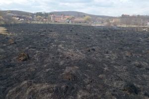 Incendiu de vegetaţie uscată, în Reghin