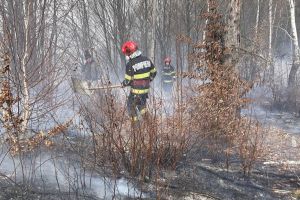 Incendiul de la Porumbacu de Sus, lichidat după ore întregi de intervenţie: 100 de hectare afectate