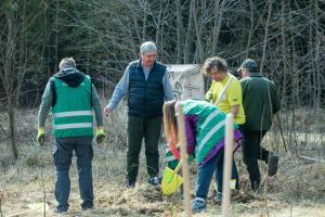 Ce buget alocă în acest an Direcţia Silvică Botoşani pentru regenerarea pădurilor din judeţ