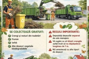 Codlea: Campanie de colectare gratuită a deşeurilor vegetale