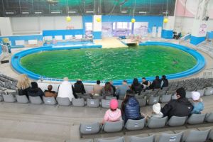 FOTO. Detinutii de la Penitenciarul Constanta-Poarta Alba, reuniti cu familiile de Ziua Mondiala a Apei