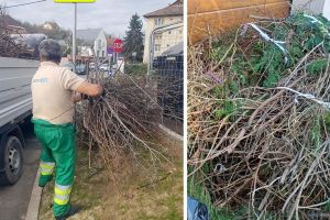 Restart la curăţenie: A început curăţenia de primăvară în Oradea, RER Vest ridică gratuit resturile vegetale