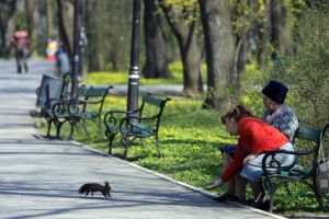 Temperaturile cresc semnificativ în zilele următoare
