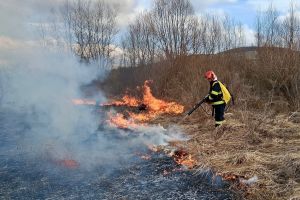 Weekend de foc pentru pompierii sibieni: peste 220 de intervenţii, zeci de incendii de vegetaţie