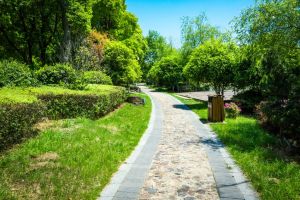 Primaria Medgidia investeste peste 100.000 de lei in sanatatea spatiilor verzi din municipiu (DOCUMENTE)