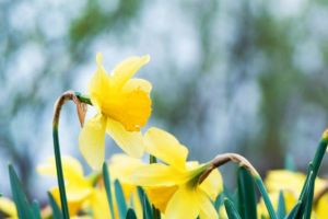 Prognoza meteo pentru Dobrogea. Cum va fi vremea in urmatoarele doua saptamani