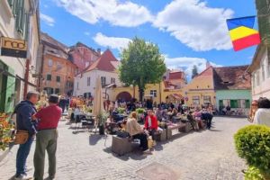 Stadiul proiectelor depuse de sibieni în programul de Bugetare Participativă: oază urbană într-o piaţetă din oraş şi sute de copaci plantaţi