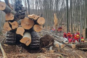 Tragedie la Dealul Negru. Un bărbat a murit după ce a fost lovit de un copac