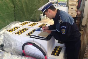 Criminalitatea economică din Harghita sancţionată cu amenzi de aproape 100.000 de lei