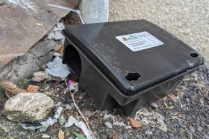 ANUNȚ: Lucrări de deratizare în Sibiu între 30 martie şi 3 aprilie 2026