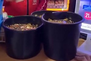 Protest neobişnuit la o benzinărie din Bacău: un şofer a încercat să plătească plinul cu trei găleţi de monede