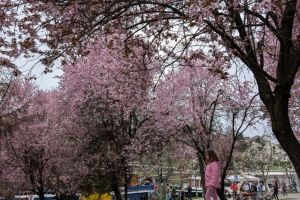 Ce facem astăzi, 24 martie 2026, în Timişoara?