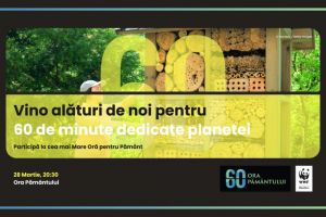 Bistriţa marchează şi în acest an Ora Pământului, sâmbătă seară, pe Pietonal