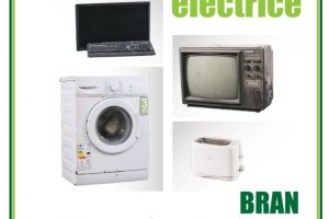 Campanie de colectare deşeuri electrice în Bran, joi, 26 martie