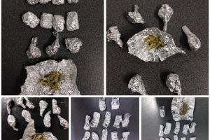 FOTO: Politia Locala Constanta, actiuni ample intr-o saptamana. Infractiuni descoperite si sute de sesizari rezolvate