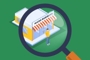 Ciclul scalabilităţii: Transformarea structurală a micro-afacerilor în entităţi medii