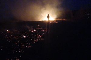 Cât sunt amenzile pentru incendierea miriştilor şi a resturilor vegetale
