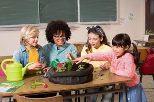 Profesorii din UE pot primi o „grădină în miniatură”, ca material didactic