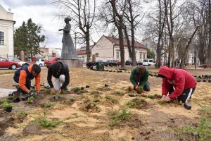 Faţa oraşului: Reabilitarea din Parcul Libertăţii a ajuns la etapa plantărilor (FOTO)
