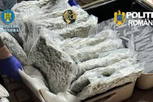 Un italian a băgat 31 de kilograme de canabis în două valize, a luat autocarul şi a venit în România. L-au prins la intrarea în ţară (FOTO)