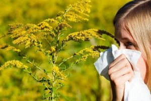 Combaterea ambroziei, obligaţie legală