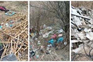 Vestitorii primăverii în lunca Siretului: câmpul a înverzit… de gunoaie