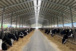 Maxagro Lact răspunde crizei energetice, cu o investiţie în fotovoltaice