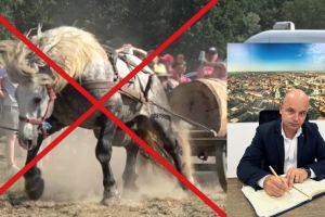 Interdicţia rămâne în vigoare la Satu Mare: fără concursuri cu cai ce trag diferite greutăţi! Prefectul cere controale stricte