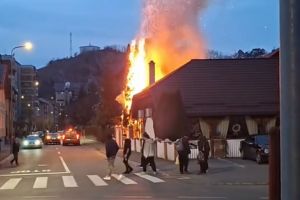 Incendiu puternic în Răcădău! Copaci în flăcări lângă un restaurant (VIDEO)