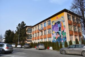 O elevă de la CN Gheorghe Vrănceanu, calificată la trei olimpiade naţionale