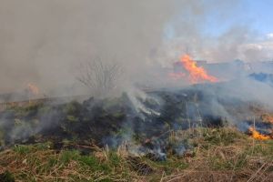 Incendiu de deşeuri, în Luduş