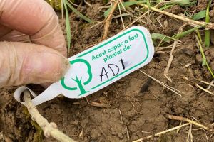 Adrian Giurgiu, deputat USR de Mureş: ”Nu aşteptaţi schimbarea — fiţi schimbarea!”