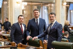 VICTORIE AUR ÎN SENAT: Gărzile medicilor devin vechime în muncă!