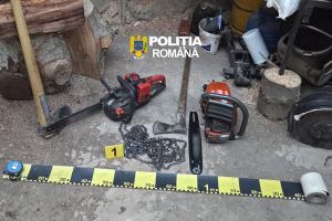 Percheziţii în Polovragi, într-un dosar de furt de material lemnos