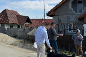 Campania de microcipare a câinilor, la Ciuperceni