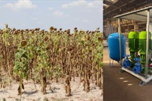 Ce faci când rămâi fără apă în plin sezon? Soluţii pentru fermieri