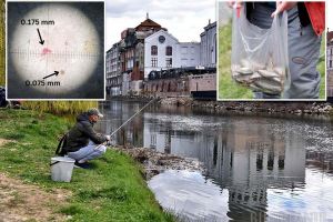 Peşti cu plastic: Poluare răspândită în râul ce traversează Oradea, particule de plastic în toţi peştii prelevaţi din Crişul Repede (FOTO)