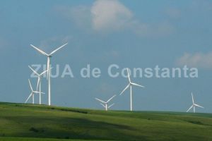 Securitate sporita pentru eolienele din Tulcea-Constanta! SAPE SA cauta servicii de paza si interventie rapida pentru Parcul Horia (DOCUMENT)