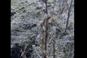 #ConstantaEsteBine: 25 martie 2026. Se simte ca vine primavara