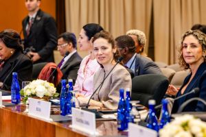 FOTO: Mirabela Gradinaru, la Washington la prima sesiune de lucru a Summitului Global al Coalitiei Pregatind viitorul impreuna,