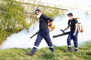 Dezinsecţie împotriva ţânţarilor şi căpuşelor, la Timişoara, în aprilie. Evitaţi să treceţi pe unde se stropeşte