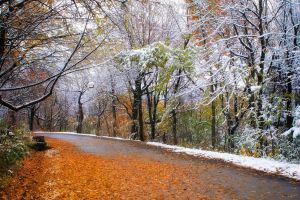 ANM anunţă vreme instabilă în toată ţara