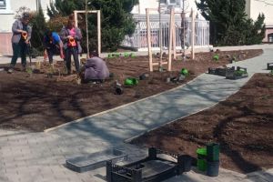 Horticultura Timişoara inaugurează un colţ de speranţă la Spitalul de Copii „Louis Țurcanu”