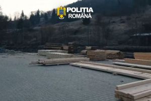 Percheziţii în Bistriţa-Năsăud. Operaţiune în domeniul silvic